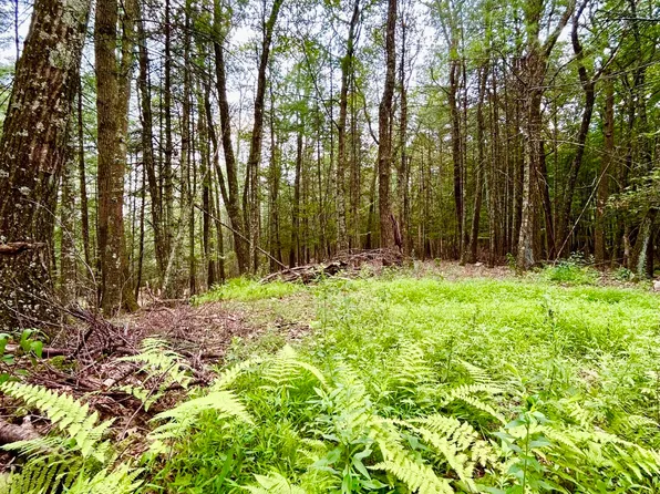 Tbd Laurel Lane, Saugerties, NY 12477