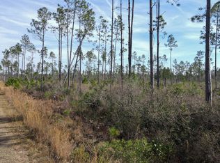 LOT 49 Circle Block Loop, Perry, FL 32348