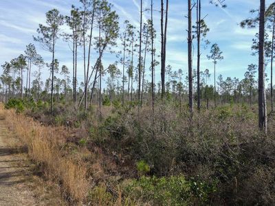 LOT 49 Circle Block Loop, Perry, FL, 32348