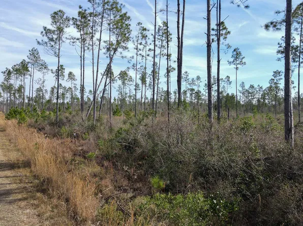 LOT 49 Circle Block Loop, Perry, FL 32348