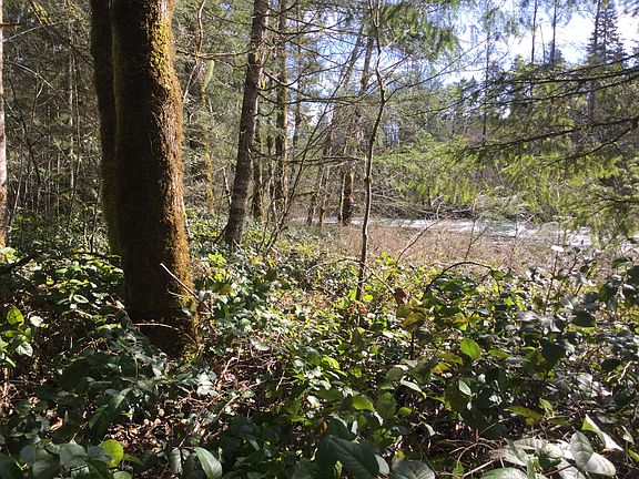 river view from  deck area