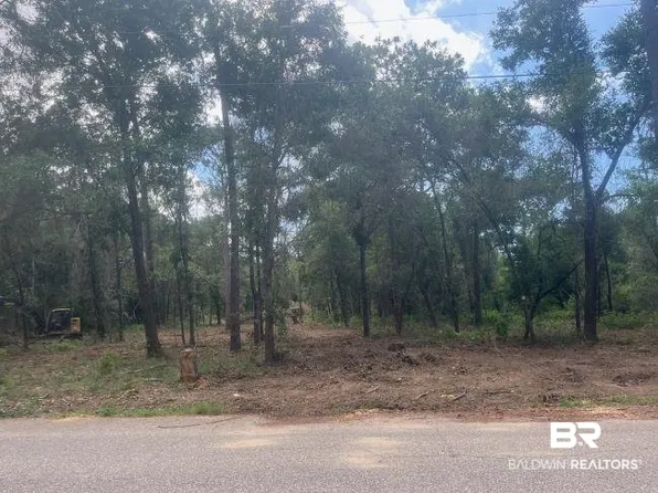 Redfish Point Rd, Lillian, AL 36549