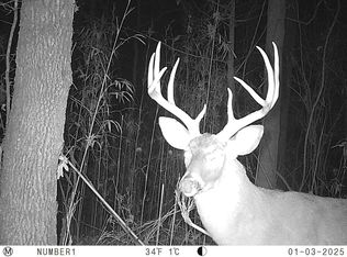 Bethel Church Rd, Grenada, MS 38901