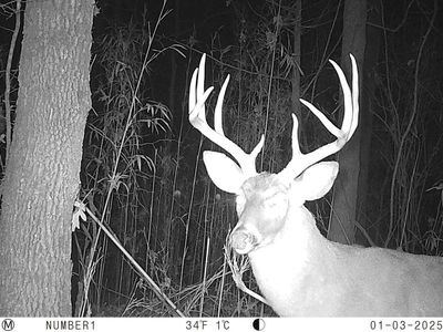 Bethel Church Rd, Grenada, MS, 38901