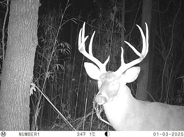 Bethel Church Rd, Grenada, MS 38901