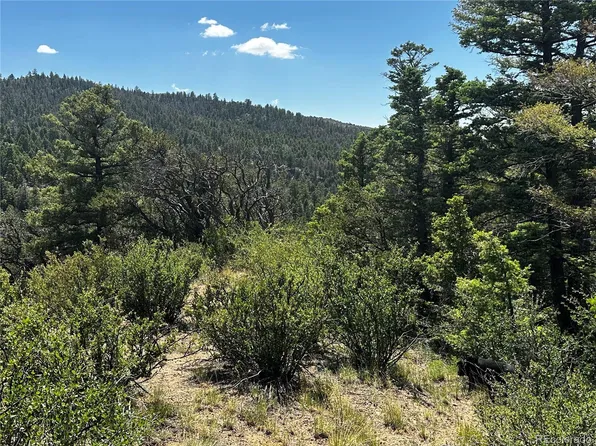 5915 Hoadley Road LOT 5915, Fort Garland, CO 81133