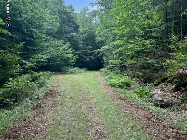 Tbd Railroad Road, Lanesville, NY 12450