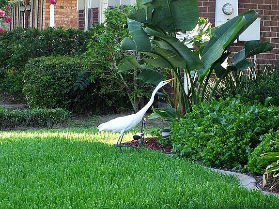 5th image of 3808 Severn Ave