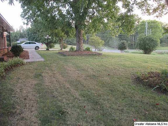 3 pecan trees in front yard