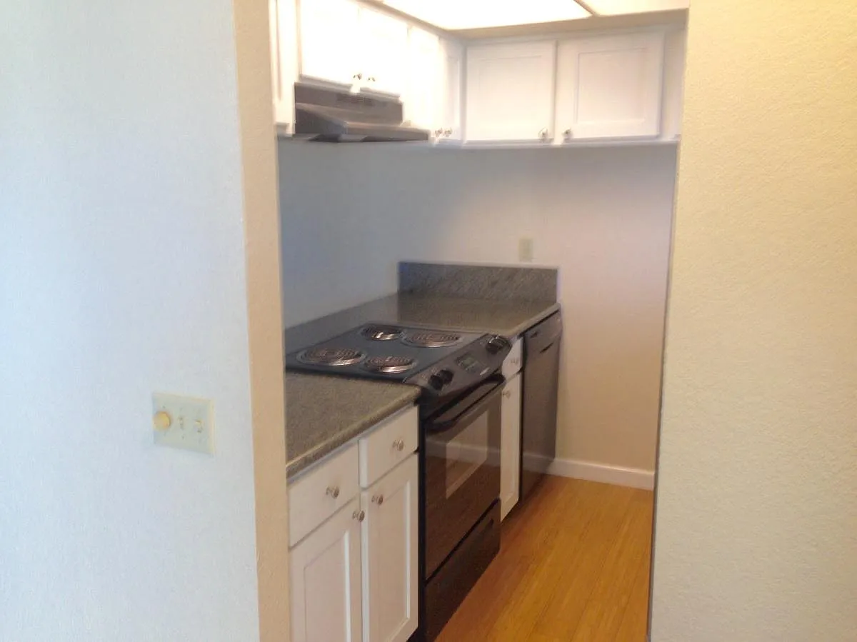 2 bed, 800 sqft, $3,200 — Photo 2