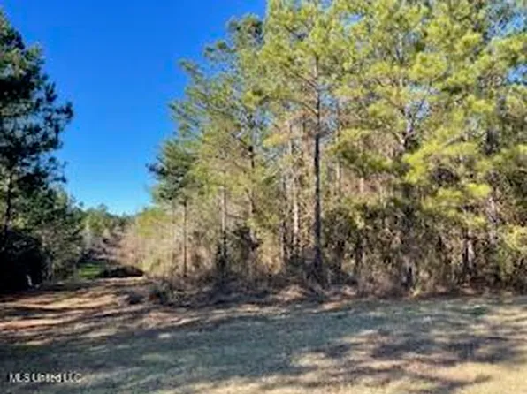 Linwood Ln NE, Brookhaven, MS 39601