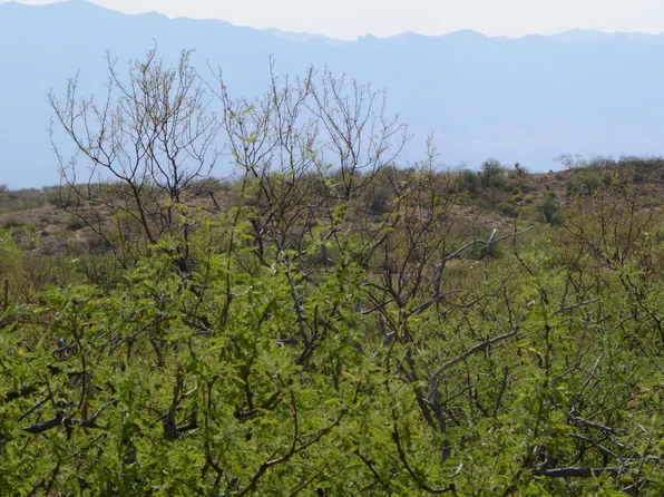 Ez Duz It Ln, Oracle, AZ 85623