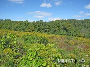 0 Johnnycake Rd, Little Falls, NY 13365