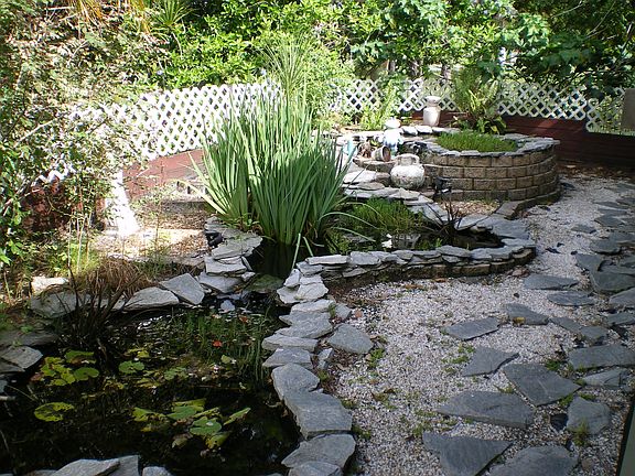 FISH POND