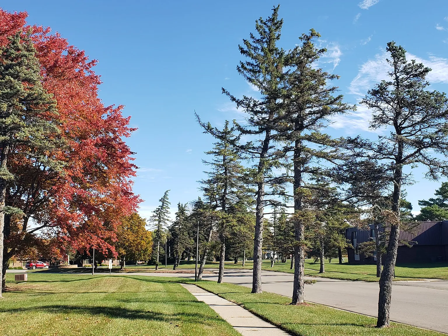 Pines Lapeer West — Photo 1