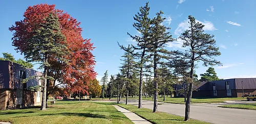 Pines Lapeer West Photo 1