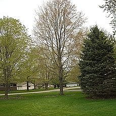 1st image of 421 N Alma Ct