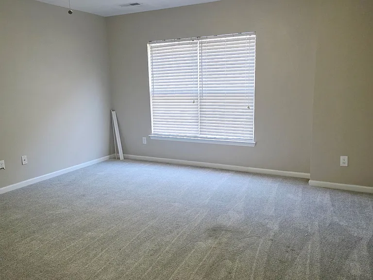 225 Woodbrook Way — Photo 26