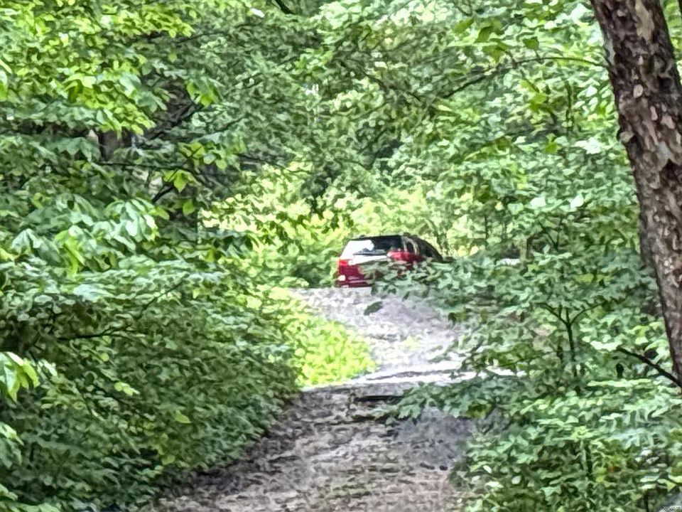 2nd image of 2886 Whitehorse Rd
