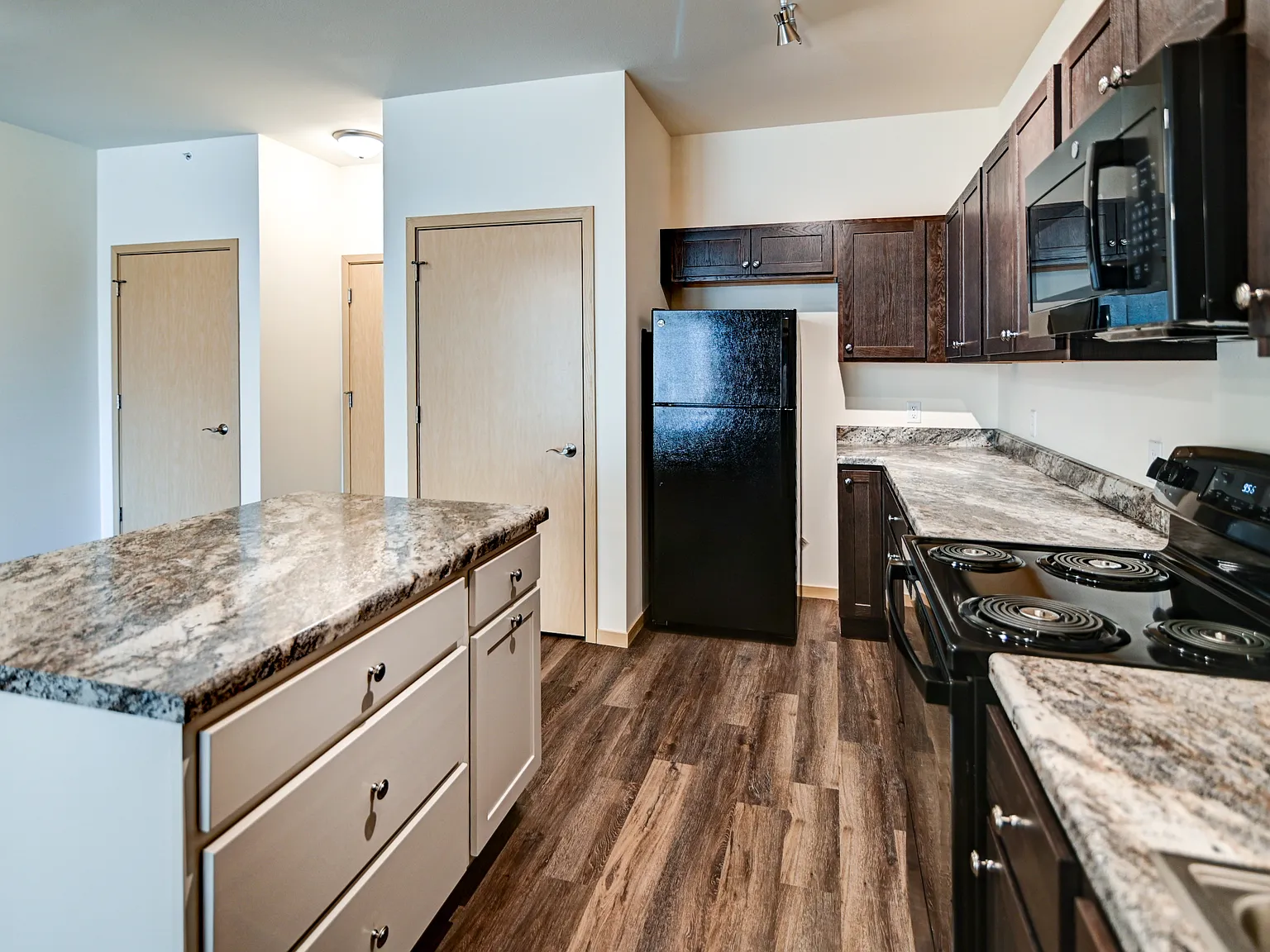 1 bed, 1000 sqft, $1,500 — Photo 2