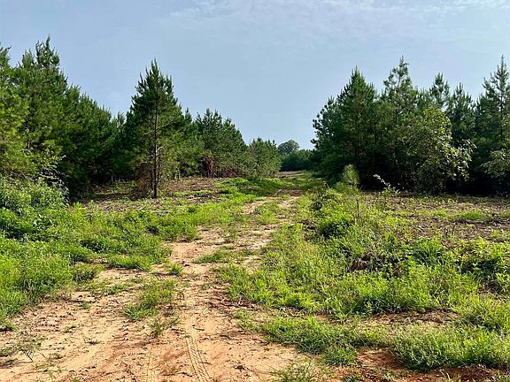 3rd image of Xx Old Caddo Gap