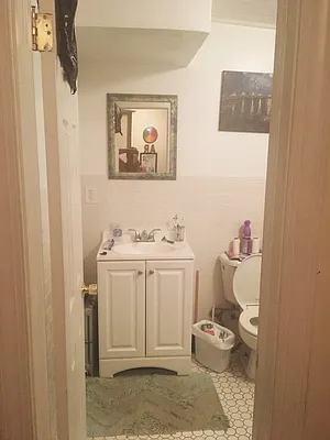 Rented by Guardian Property Management of Brooklyn LLC | media 10