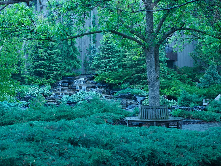 Peaceful grounds
