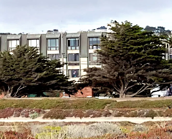 1464 La Playa St #A — Photo 19