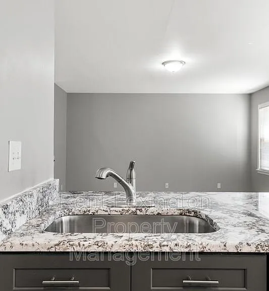 4589 Fieldmoor Dr — Photo 14