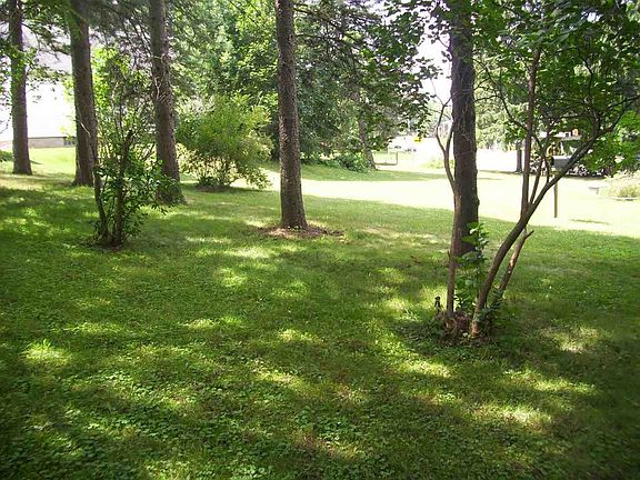 Another View of the Back Yard