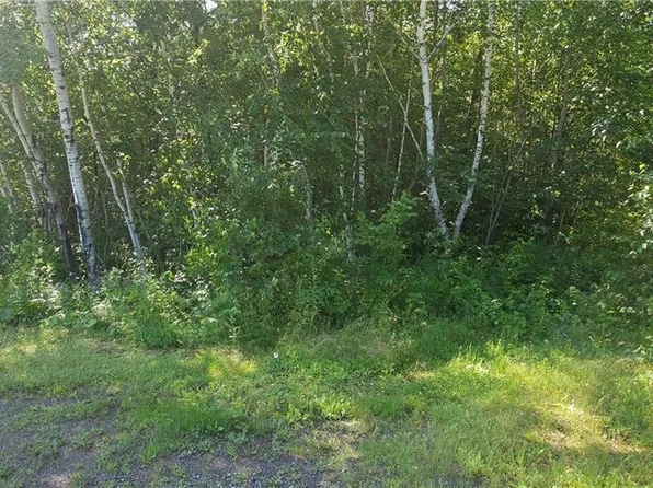 W743 Metcalf Road, Stone Lake, WI 54876