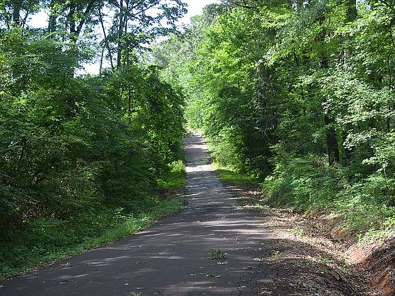 2nd image of 0 County Road 1587a