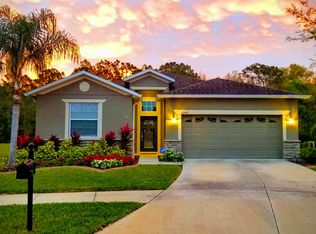 20441 Autumn Fern Ave, Tampa, FL 33647