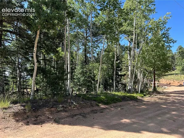 127 Rampart Cir, Florissant, CO 80816