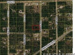 9665 McMahon Ave, Hastings, FL 32145