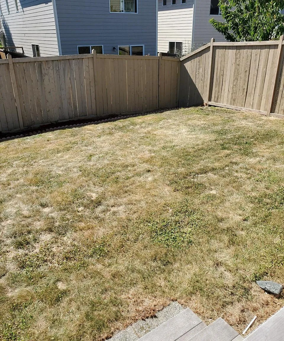 3 bed, 2.5 bath, 1531 sqft, $2,695 — Photo 3