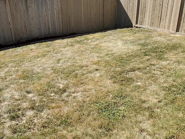 4729 Parker St — Photo 3
