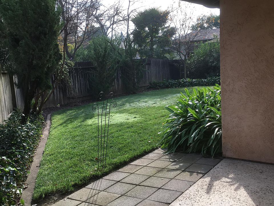 rear patio & yard