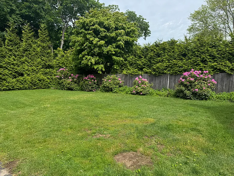 21 Elm St — Photo 11