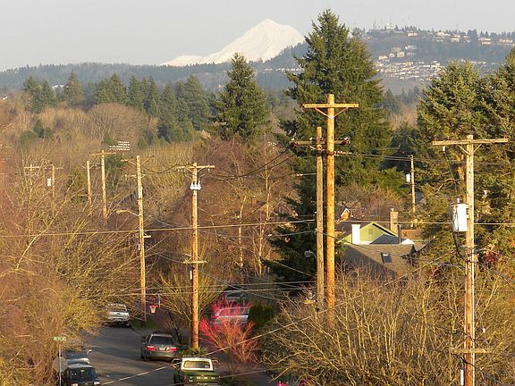 view from living/dining