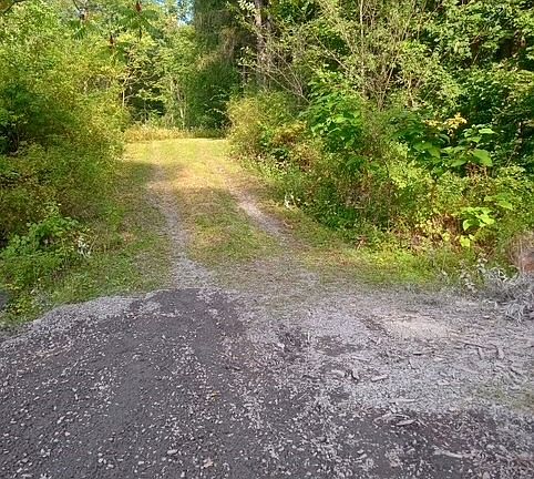 2nd image of 0 Stone Quarry Rd