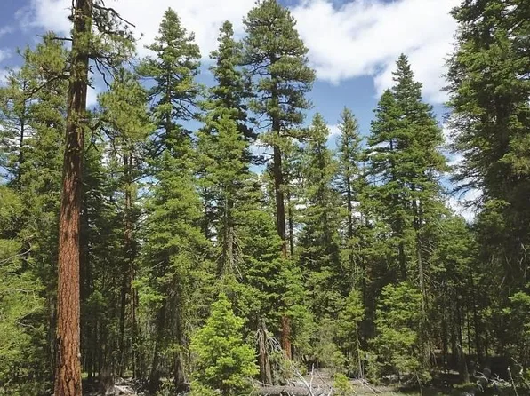 Xx Vista Dr, Newport, WA 99156