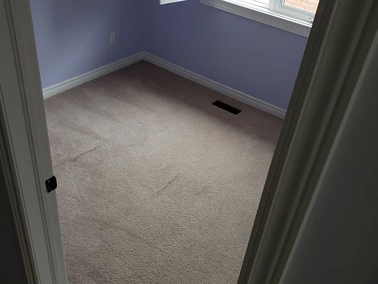 2439 Lazio Ln — Photo 19