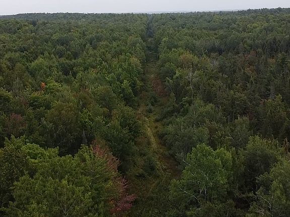 2nd image of Birch Rd
