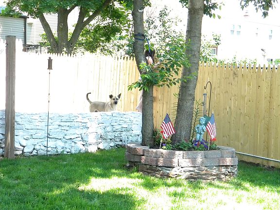 part of backyard