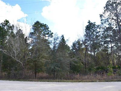 7152 W Hunterhill St, Dunnellon, FL, 34433