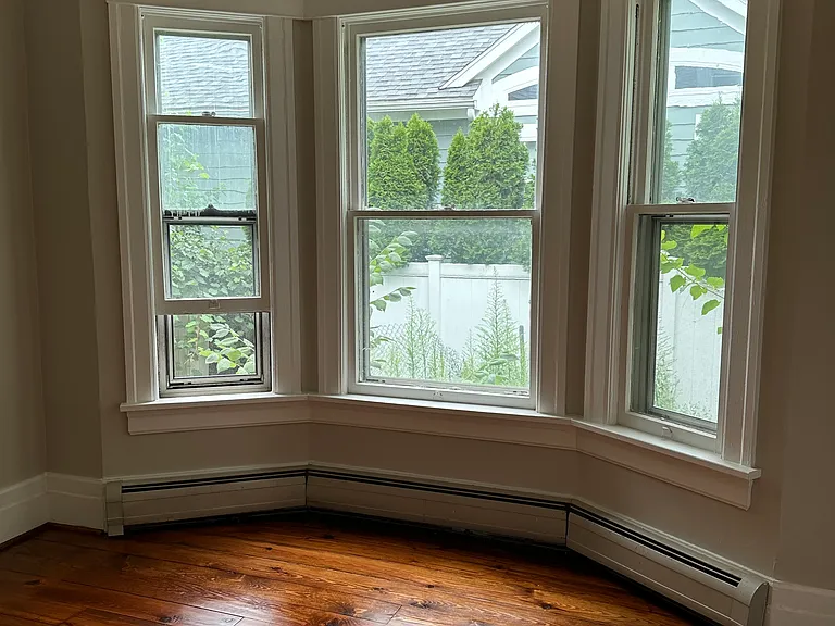 Living room front windows