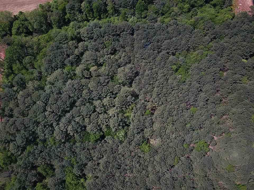 2nd image of Rideout Rd