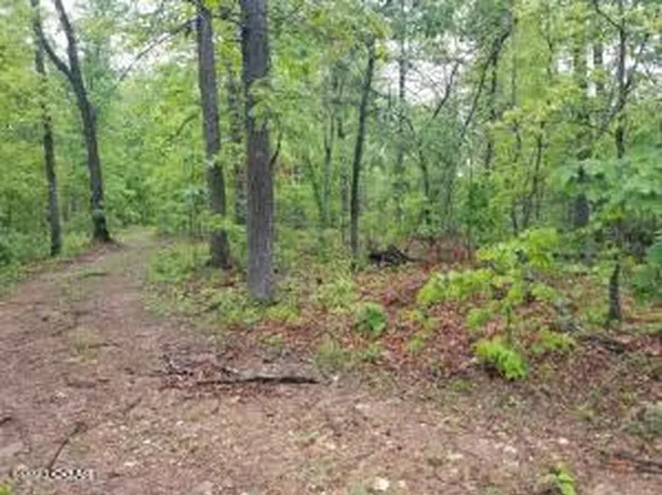 Tract 3 Town Hollow Road, Anderson, MO 64831