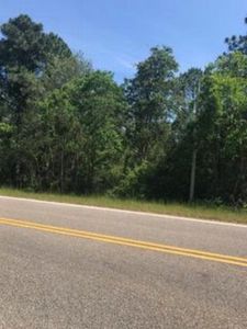 0 Deakle Rd LOT 2, Irvington, AL, 36544